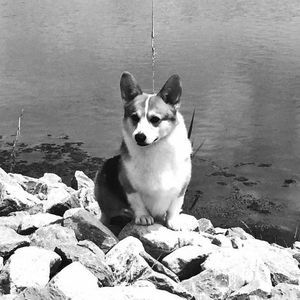 Meet your Posher, Gail